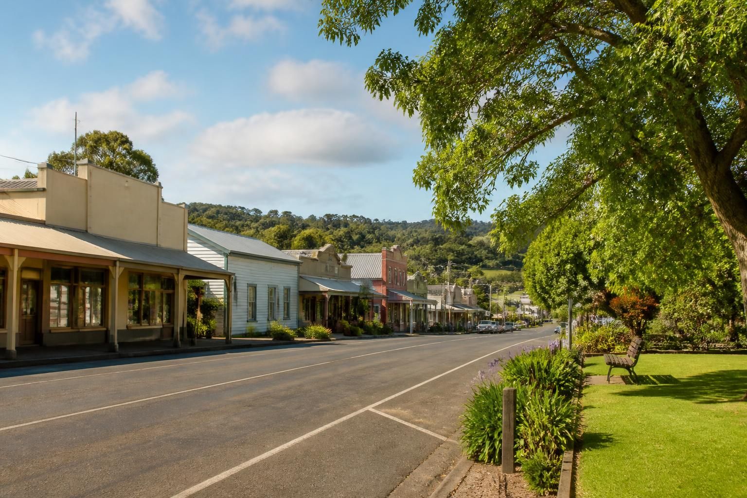 Country-town street scene with greenery in Neerim South.
